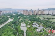 诸城西宁市举办六五环境日主题宣传活动